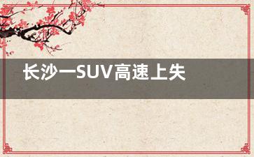 长沙一SUV高速上失控狂飙500公里 幸好没遇到堵车